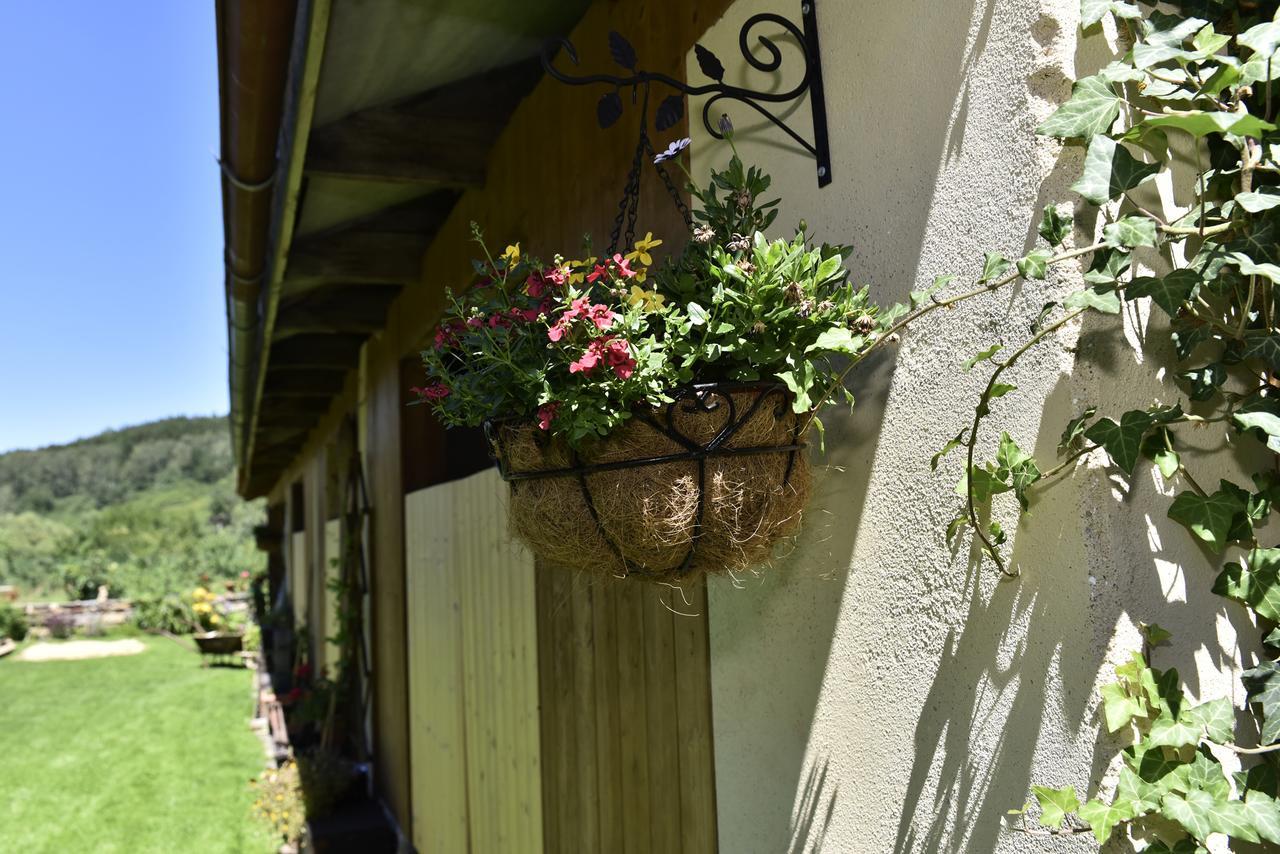Selsky Dvur Apartamento Kájov Exterior foto